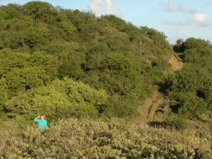 Reese hiking on Jost Van Dyke