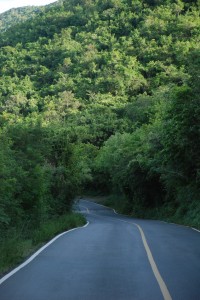 the long and winding road to the plantation, where i enjoyed a great jog