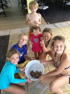 Racing the hermit crabs they found on the beach before sending them back home