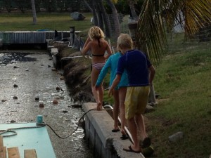 fearlessly chasing an iguana out onto the end of the retaining wall.  don't these kids have parents?