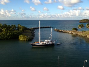 Sea Schelle in the harbor entrance