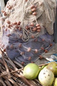 still life at Anse de Mai