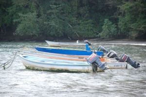 fishing boats