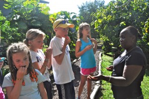 The kids smell, inspect, and taste dozens of herbs and spices.