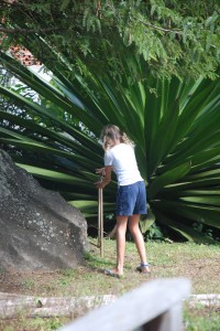 My little Laura Ingalls!  Reese finds a water pump in front of a giant palm-like plant and washes her hands.