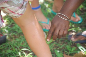 Olivia gets a fresh aloe treatment for some bug bites.  Then we all line up for some!