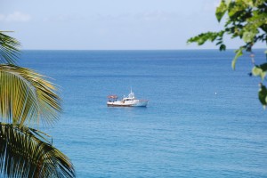 a ship cruises the coast