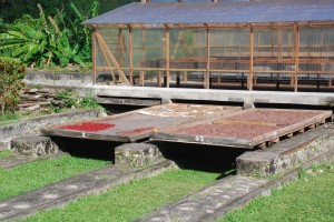 Drying platforms slide under the building when it rains.