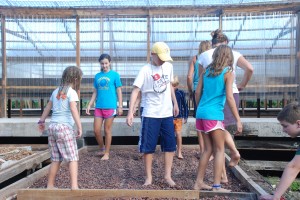 We get to walk around on the beans, just as the plantation workers did years ago.  It was fun for the kids, but I connected with the hard work that those long ago slaves and workers had to endure.