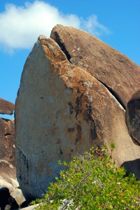 Porter thinks this rock looks like a whale coming out of the water.  Now I can't see anything else!