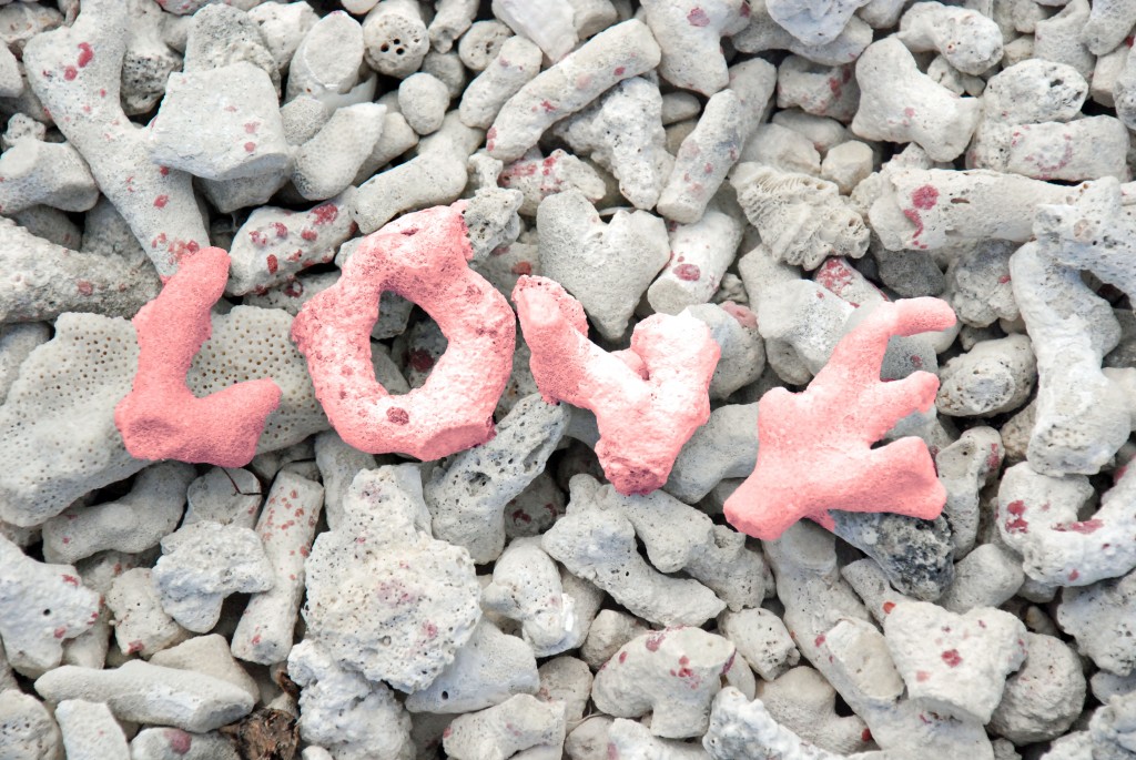 Jost Van Dyke, British Virgin Islands, 2013